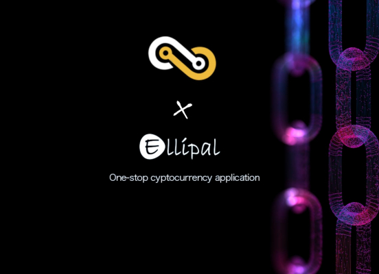 Now you can add the Bhax token into Ellipal cold wallet